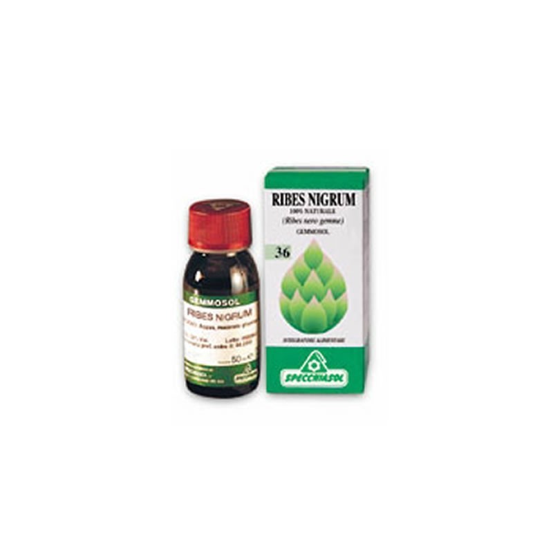 Gemmosol 36 ribes nero macerato glicerico 100 ml Gemmosol 36 ribes nero macerato glicerico 100 ml