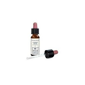 Cherry plum essenza 10 ml 1 pezzo