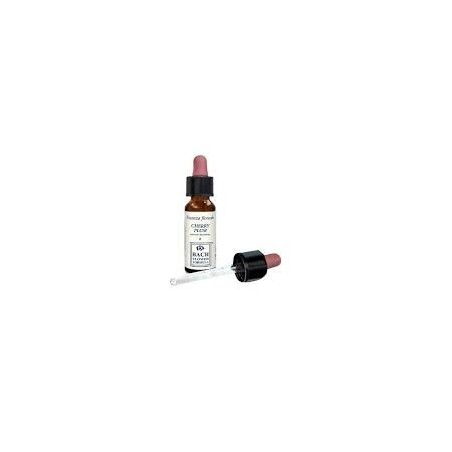 Cherry plum essenza 10 ml 1 pezzo