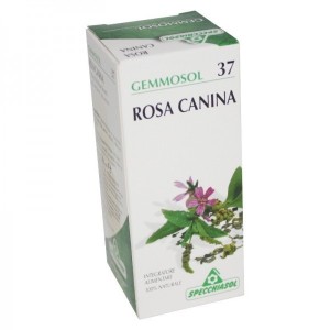 Gemmosol 37 rosa canina 50ml