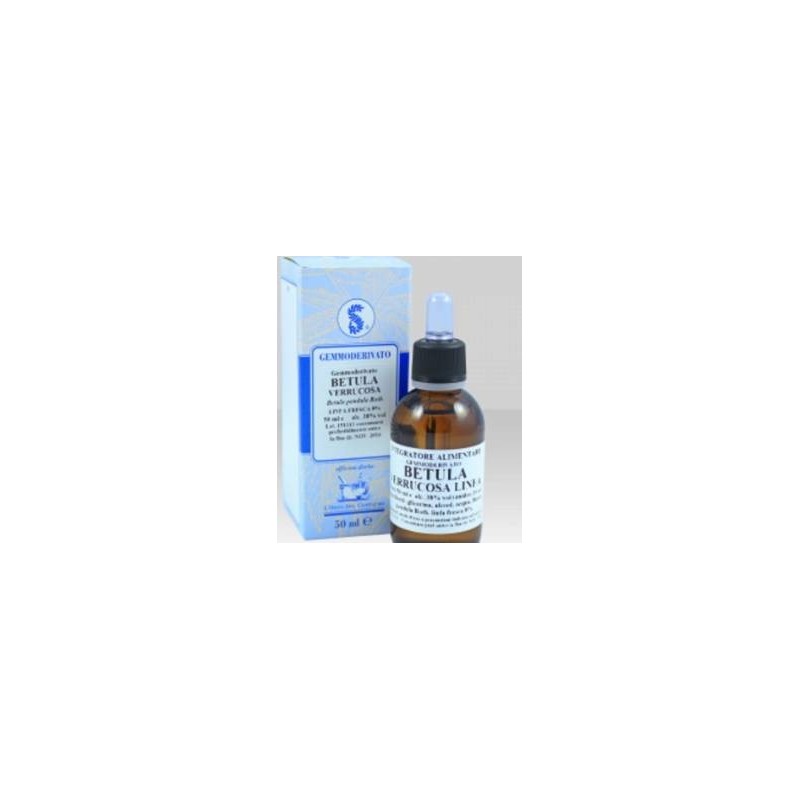 Betula verrucosa linfa 100 ml macerato glicerico Betula verrucosa linfa 100 ml macerato glicerico