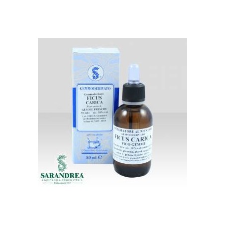Ficus carica gemme 100 ml macerato glicerico