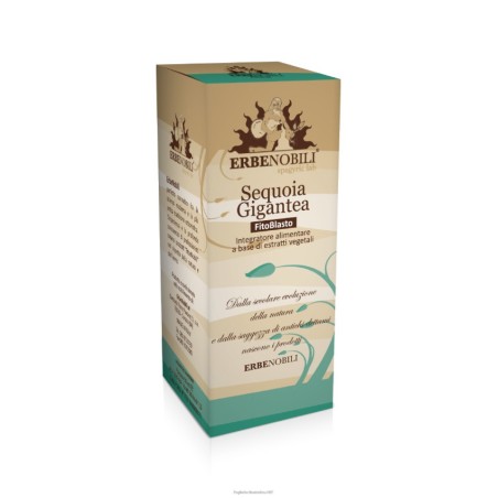 Fitoblasto sequoia gigantea 50 ml