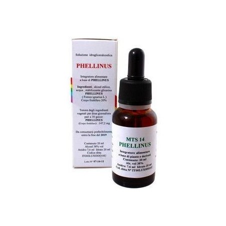 Mts14 phellinus gocce 20 ml