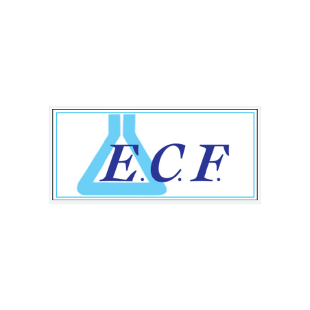 Ecofil detergente 500 ml
