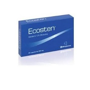 Ecosten new 24 compresse