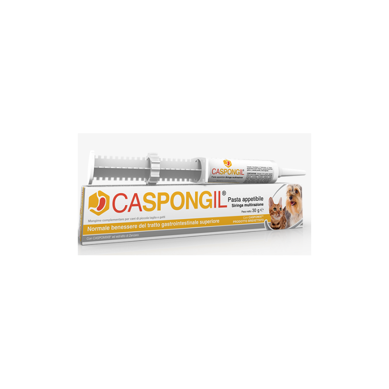 Caspongil pasta 30 g