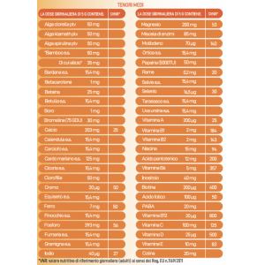 Sinerbase polvere solubile 300 g