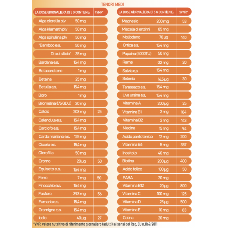 Sinerbase polvere solubile 300 g