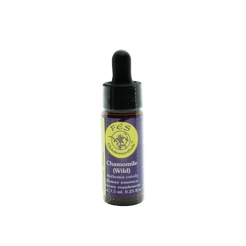 Chamomile ess 7,4ml calf