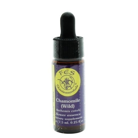 Chamomile ess 7,4ml calf