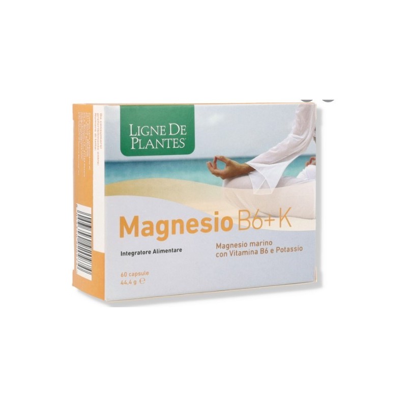 Magnesio b6 + k 60 capsule