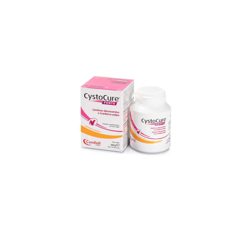 Cystocure forte pasta 15 ml Cystocure forte pasta 15 ml