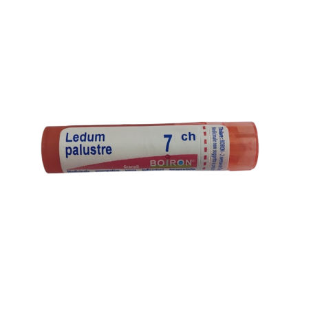 Ledum palustre boiron 80 granuli 7 ch contenitore multidose Ledum palustre boiron 80 granuli 7 ch contenitore multidose