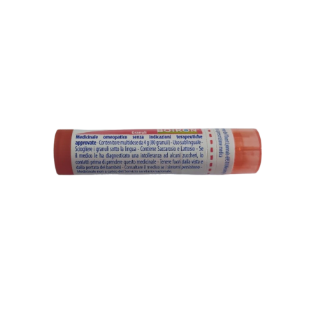 Ledum palustre boiron 80 granuli 7 ch contenitore multidose Ledum palustre boiron 80 granuli 7 ch contenitore multidose