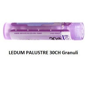 Ledum palustre boiron 80 granuli 30 ch contenitore multidose Ledum palustre boiron 80 granuli 30 ch contenitore multidose