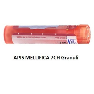 Apis mellifica 7 ch granuli Apis mellifica 7 ch granuli