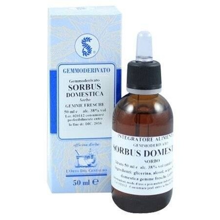 Sorbus domestica 60 ml macerato glicerico