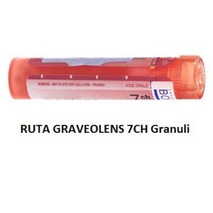 Ruta graveolens boiron 80 granuli 7 ch contenitore multidose