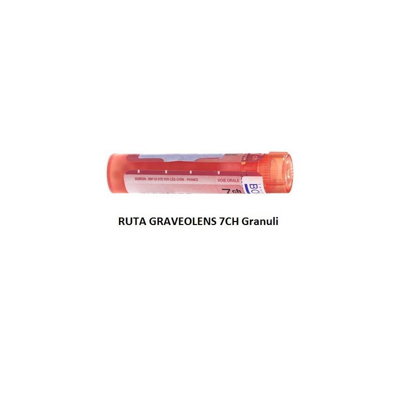 Ruta graveolens boiron 80 granuli 7 ch contenitore multidose Ruta graveolens boiron 80 granuli 7 ch contenitore multidose