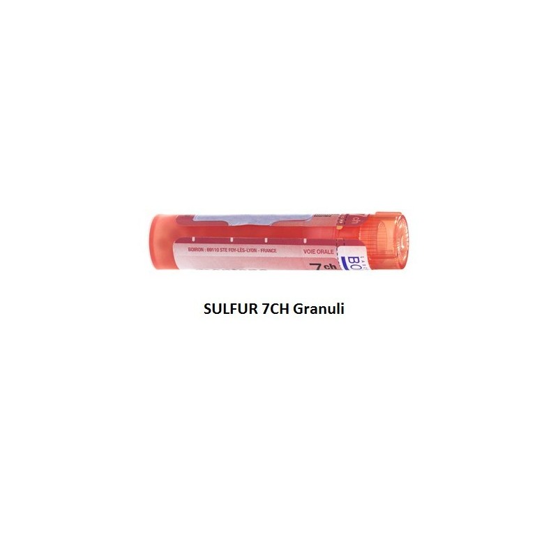 Sulfur boiron 80 granuli 7 ch contenitore multidose Sulfur boiron 80 granuli 7 ch contenitore multidose