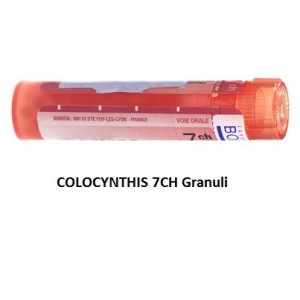 Colocynthis 7 ch granuli Colocynthis 7 ch granuli