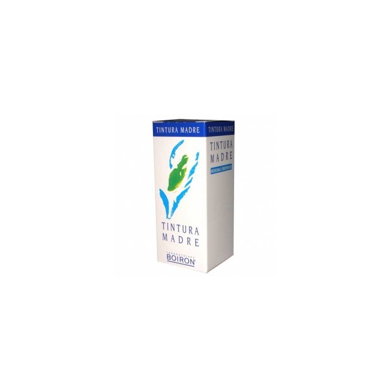 Solidago virga aurea tintura madre 60 ml
