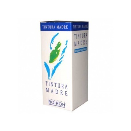 Solidago virga aurea tintura madre 60 ml