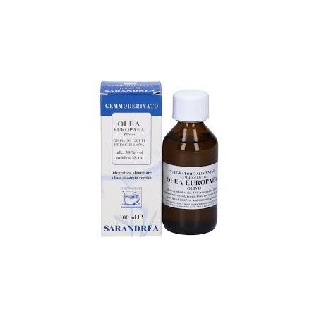 Olea europaea 100 ml macerato glicerico