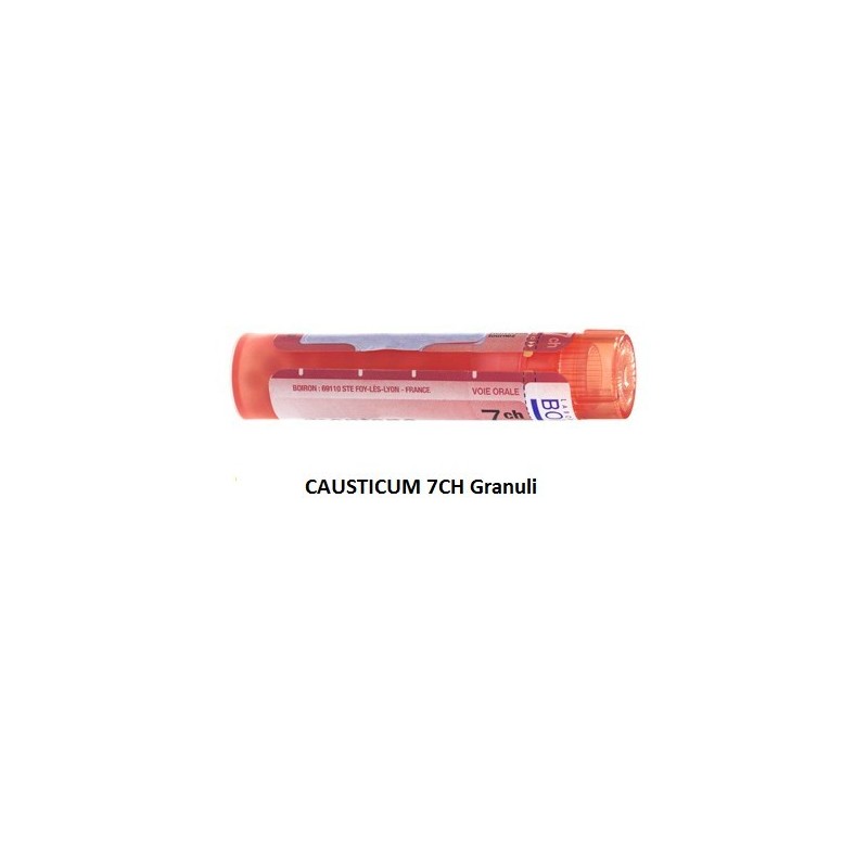 Causticum boiron 80 granuli 7 ch contenitore multidose Causticum boiron 80 granuli 7 ch contenitore multidose