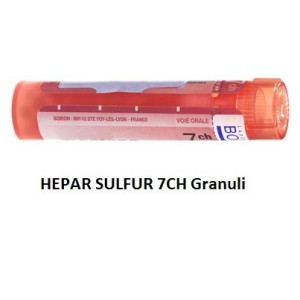 Hepar sulfuris calcareum boiron 80 granuli 7 ch contenitore multidose Hepar sulfuris calcareum boiron 80 granuli 7 ch contenitore multidose