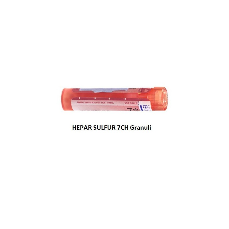 Hepar sulfuris calcareum boiron 80 granuli 7 ch contenitore multidose Hepar sulfuris calcareum boiron 80 granuli 7 ch contenitore multidose