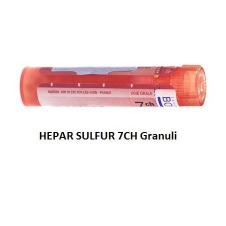 Hepar sulfuris calcareum boiron 80 granuli 7 ch contenitore multidose Hepar sulfuris calcareum boiron 80 granuli 7 ch contenitore multidose