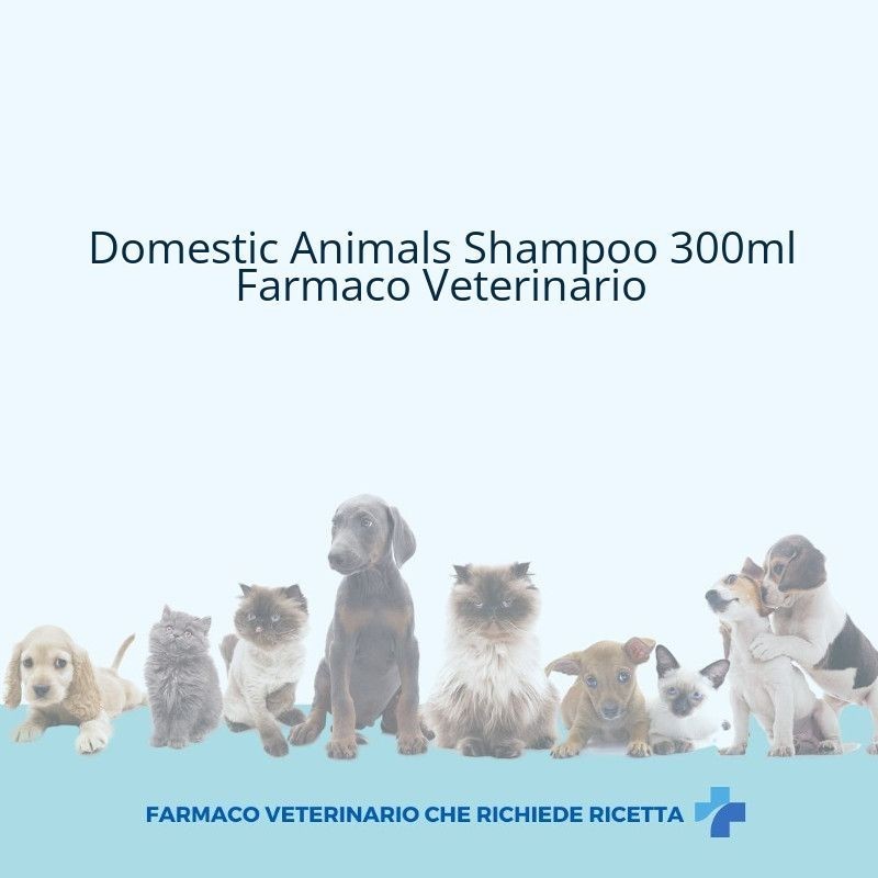 Candioli domestic animals shampoo