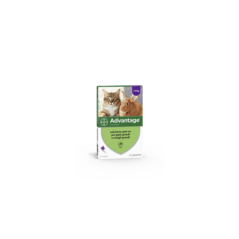Advantage 80 mg soluzione spot-on per gatti grandi e conigli grandi