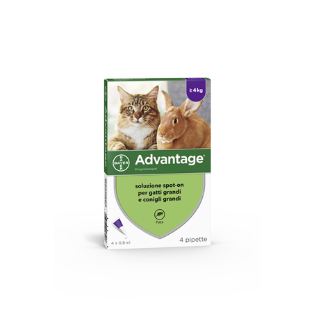 Advantage 80 mg soluzione spot-on per gatti grandi e conigli grandi