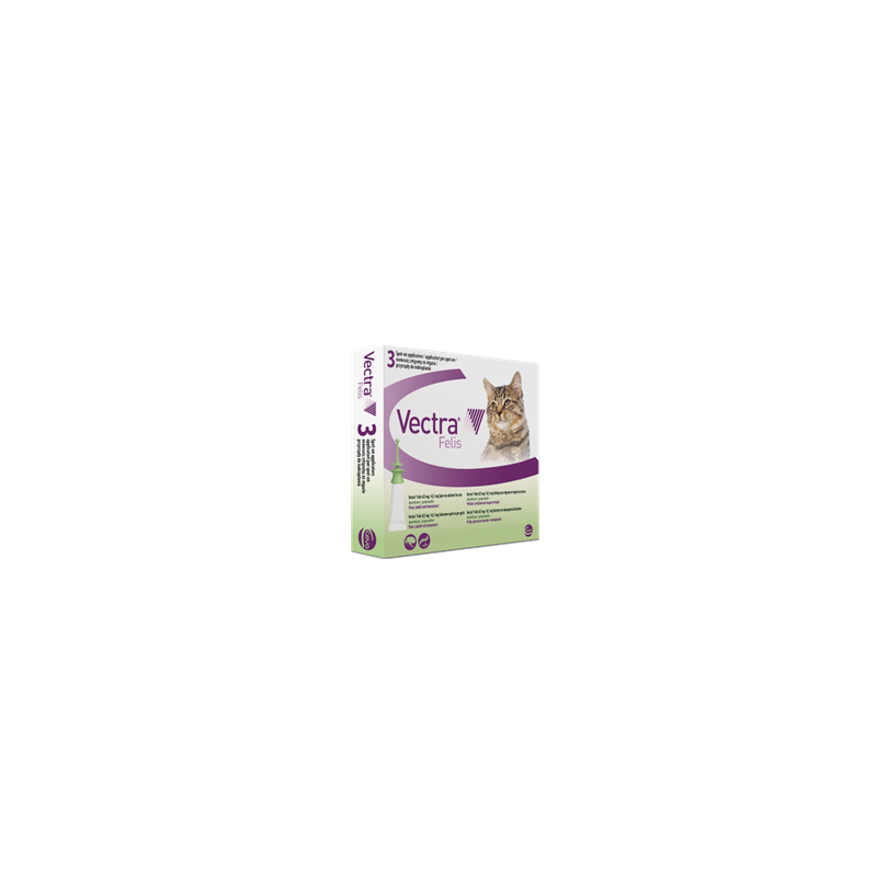 Vectra felis