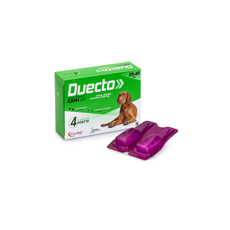Duecto
