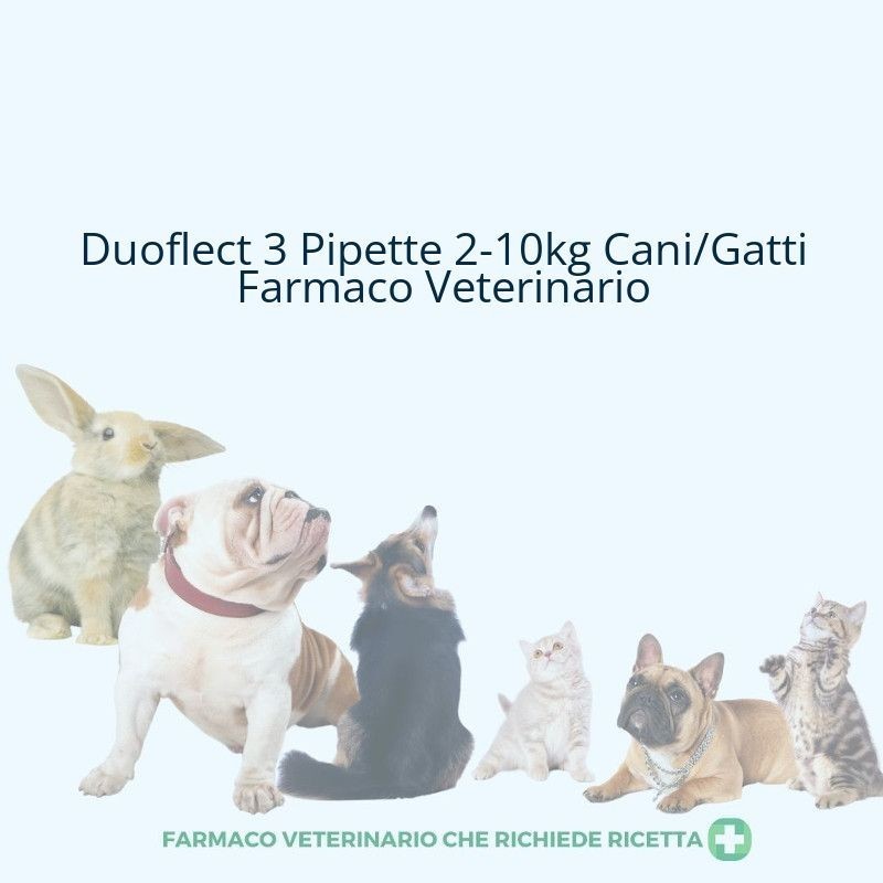 Duoflect soluzione spot-on per cani da 2-10 kg e gatti 5 kg Duoflect soluzione spot-on per cani da 2-10 kg e gatti 5 kg