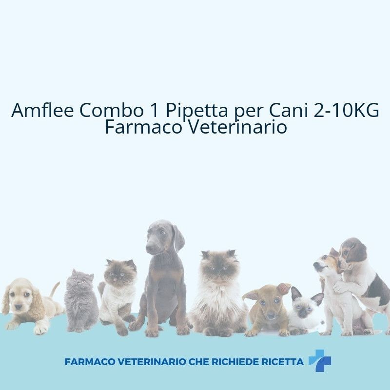 Amflee combo 67 mg/60,3 mg soluzione spot-on per cani di taglia piccola
