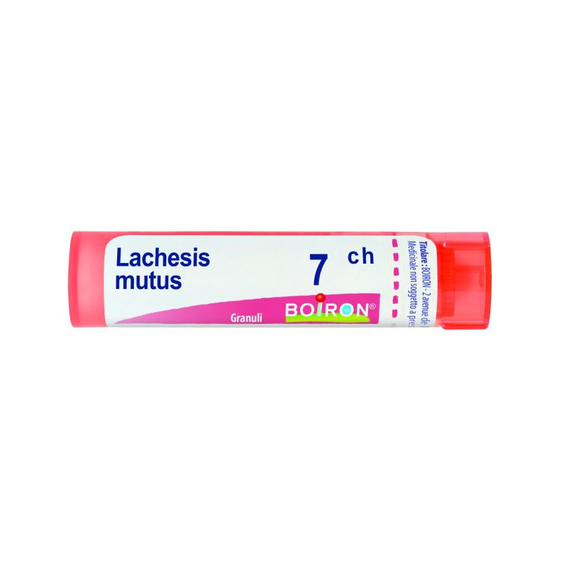 Lachesis mutus 7 ch granuli Lachesis mutus 7 ch granuli