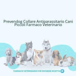 Prevendog 0.636 g collare medicato per cani molto piccoli
