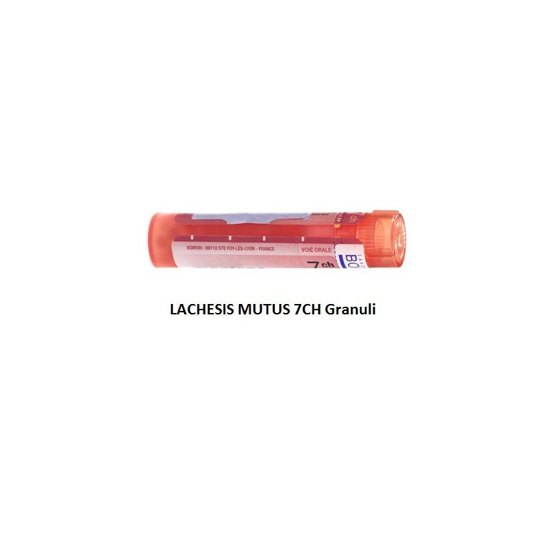 Lachesis mutus 7 ch granuli Lachesis mutus 7 ch granuli