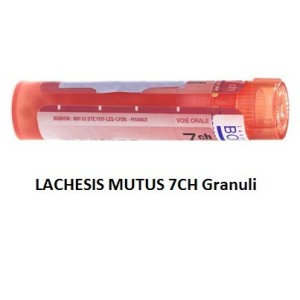 Lachesis mutus 7 ch granuli Lachesis mutus 7 ch granuli