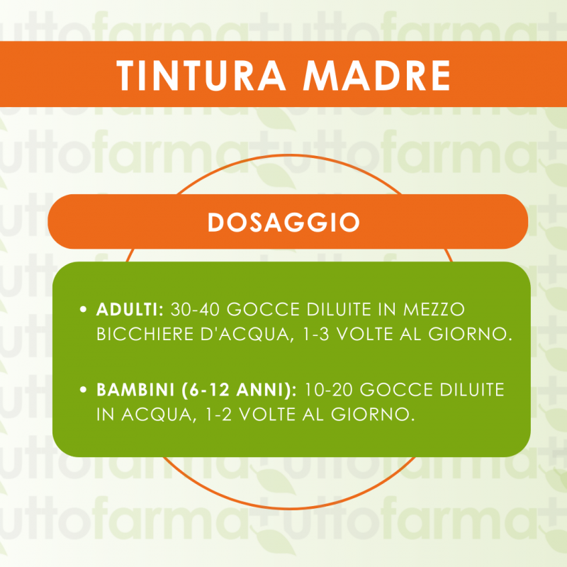 Vaccinium vitis idaea 60 ml tintura madre Vaccinium vitis idaea 60 ml tintura madre
