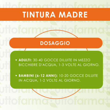 Vaccinium vitis idaea 60 ml tintura madre Vaccinium vitis idaea 60 ml tintura madre