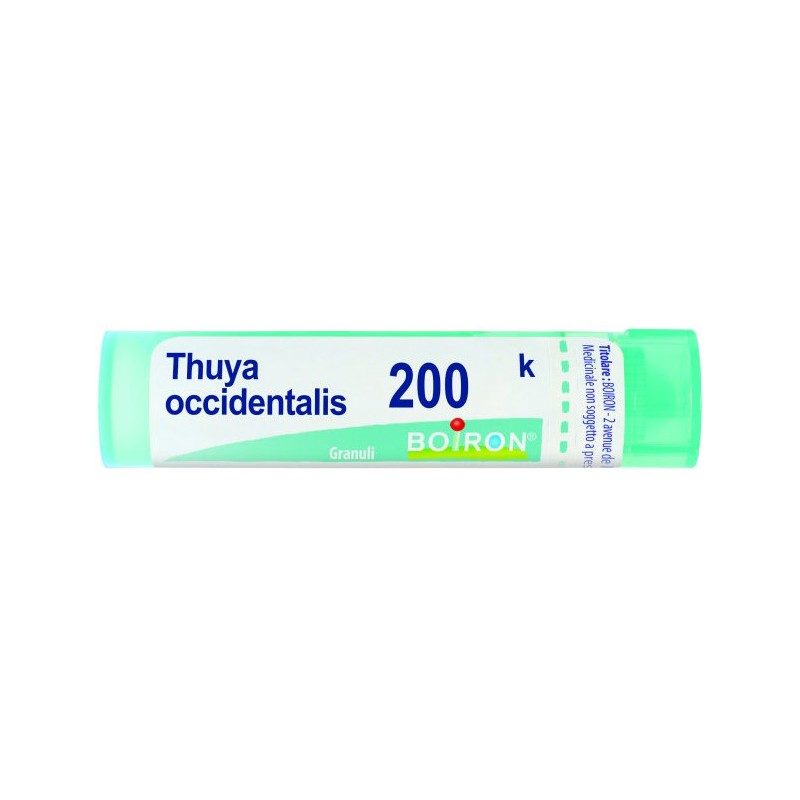 Thuya occident 200k granuli