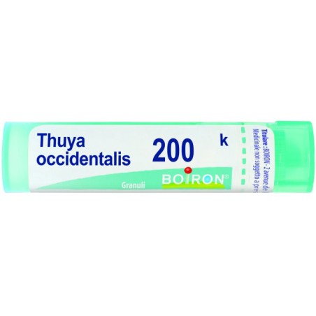 Thuya occident 200k granuli