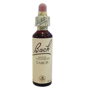 Bach center ess larch 20ml