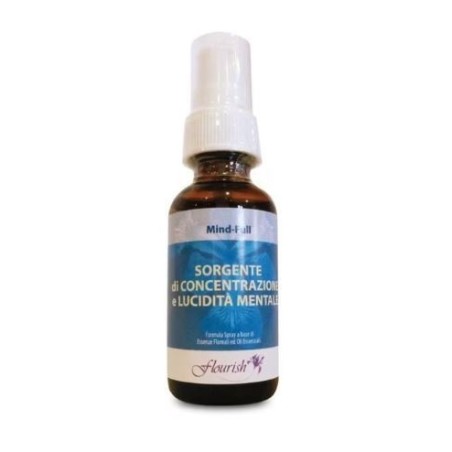 Mind full concentrazione e lucidita' mentale spray orale 30ml